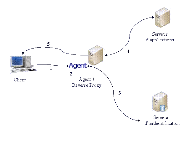 Reverse Proxy Architecture